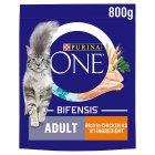 PURINA ONE Chicken Dry Cat Food