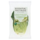 Essential Sweetheart Cabbage