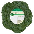 Waitrose Large Broccoli Crown335g