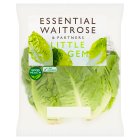 Essential Little Gem Lettuce