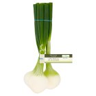 Waitrose Continental Salad Onions