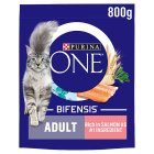 PURINA ONE Salmon Dry Cat Food