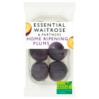 Essential Home Ripening Plums