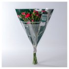 Waitrose Foundation Spray Carnations
