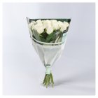 Foundation Long-Stemmed Pastel Roses