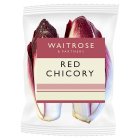 Waitrose Red Chicory