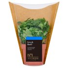 No.1 Greek Basil Large