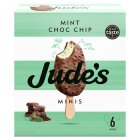 Jude's Mint Chocolate Minis