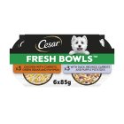 Cesar Senior Wet Dog Food Pouches Mixed Selection in Jelly 