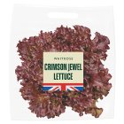 Waitrose Crimson Jewel Lettuce