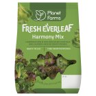 Planet Farms Fresh EverLeaf Harmony Mix