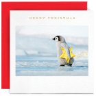 Penguin Chick With Star