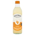 Equinox Organic Ginger Kombucha