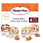 Haagen-Dazs Caramel, Biscuit & Cream Ice Cream