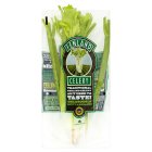 Fenland Celery