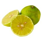Natoora Organic Bergamot
