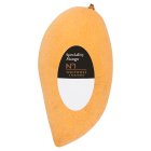 No.1 Speciality Mango