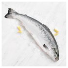 Duchy Organic Fresh Whole Salmon