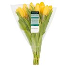 Waitrose Autumn Tulips