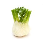Waitrose Loose Fennel