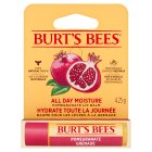 Burt's Bees Moisturising Pomegranate Lip Balm