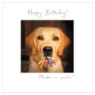 Labrador Candles