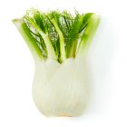 Natoora Large Fennel