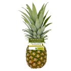 Waitrose Extra Large Pineapple