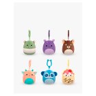 Squishmallows 3.5 Clipstrip