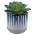 Curate Faux Floral Single Succulent in Blue Detail Ceramic Pot, 11cm Height