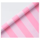 Mid Pink Wide Stripe 3M Gift Wrapeach