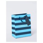 Blue Stripe Small Bag