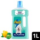 Flash Floor Liquid Pet