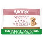 Andrex Hygiene Wipes Protect & Care 36s