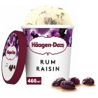 Haagen-Dazs Ice Cream Fruit Collection