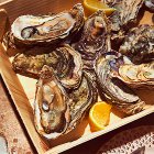 No.1 12 Isle of Mull Oysters