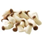 Natoora Baby King Oyster Mushrooms