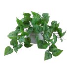 Curate Faux Floral Trailing Leaf in Cement Pot