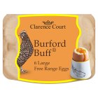 Clarence Court Burford Browns Very Large6s