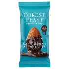 Forest Feast Salted Dark Chocolate Almonds Impulse 40G