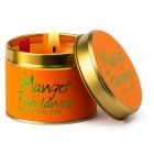 Lily-Flame Mango Fandango Candle Tin