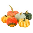 Waitrose Halloween Mixed Squash