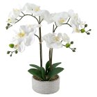 Curate Faux Floral Orchid in Ceramic Pot, 47cm Height